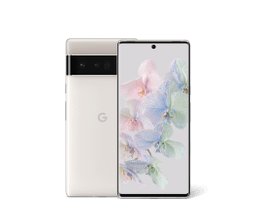 Pixel 6 Pro
